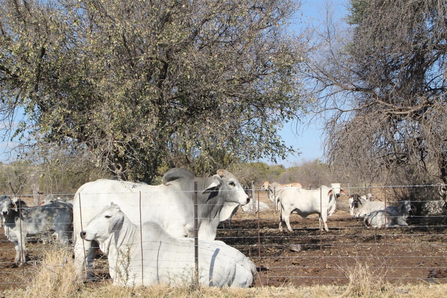 0 Bedroom Property for Sale in Vryburg Rural North West